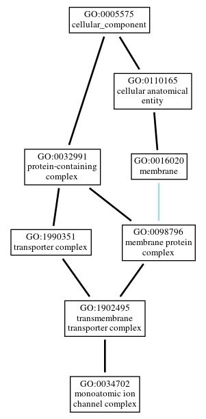 Graph of GO:0034702