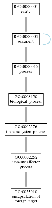 Graph of GO:0035010