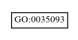 Graph of GO:0035093