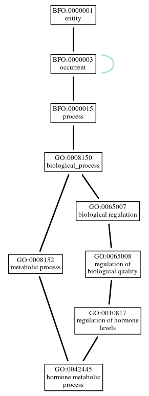 Graph of GO:0042445
