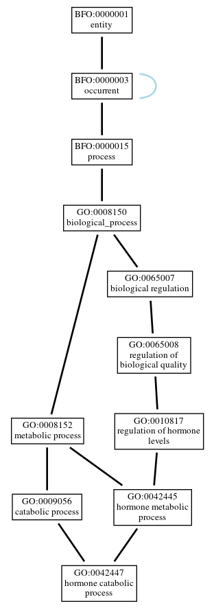 Graph of GO:0042447