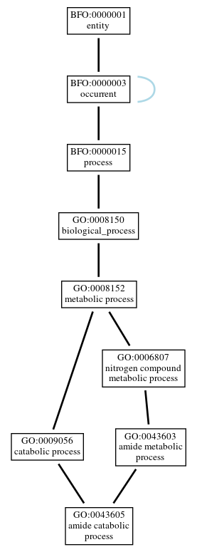 Graph of GO:0043605