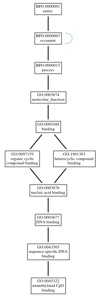 Graph of GO:0045322