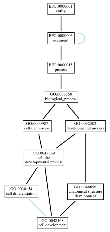 Graph of GO:0048468