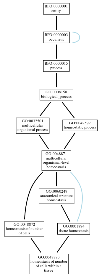 Graph of GO:0048873