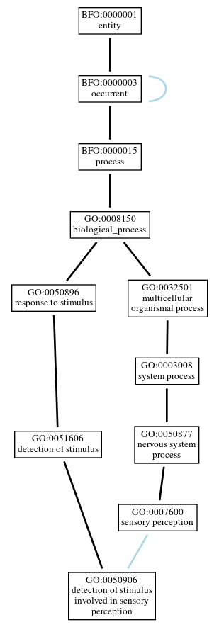 Graph of GO:0050906