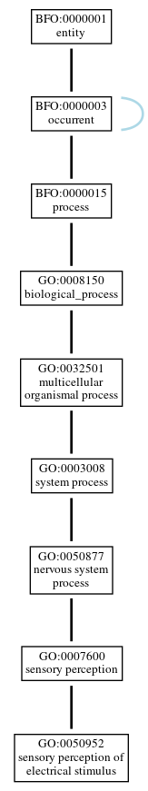 Graph of GO:0050952