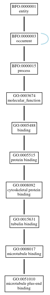 Graph of GO:0051010