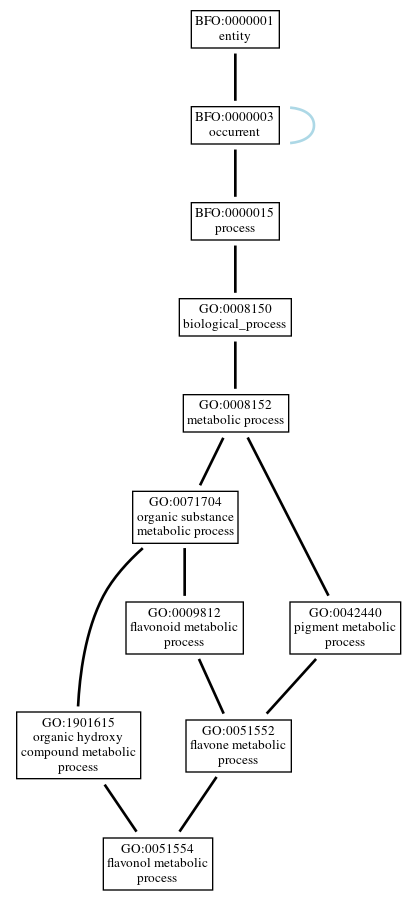 Graph of GO:0051554