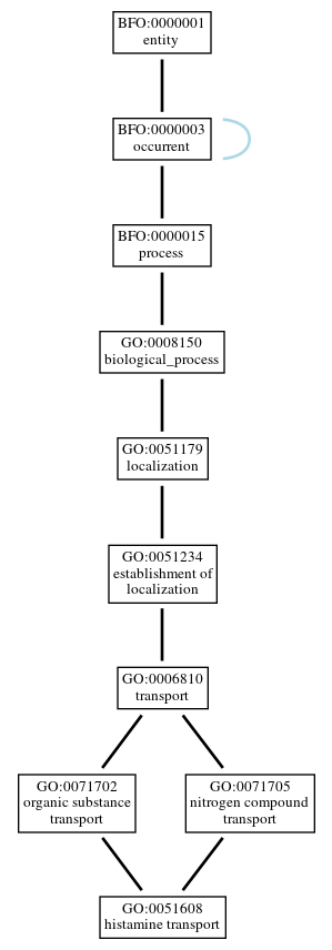 Graph of GO:0051608