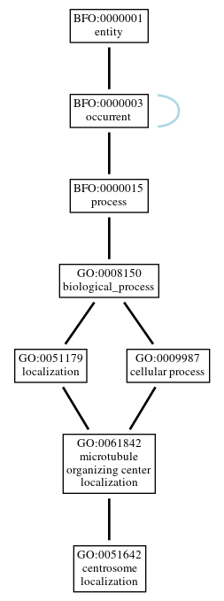 Graph of GO:0051642