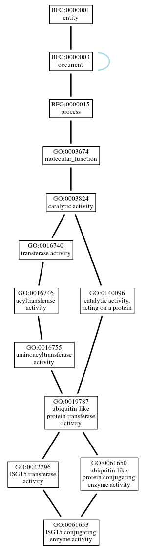 Graph of GO:0061653