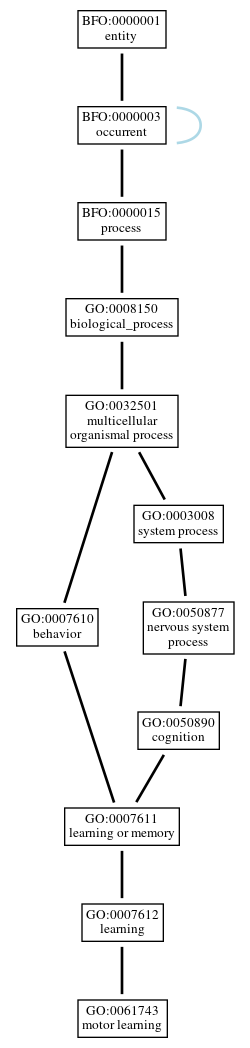 Graph of GO:0061743
