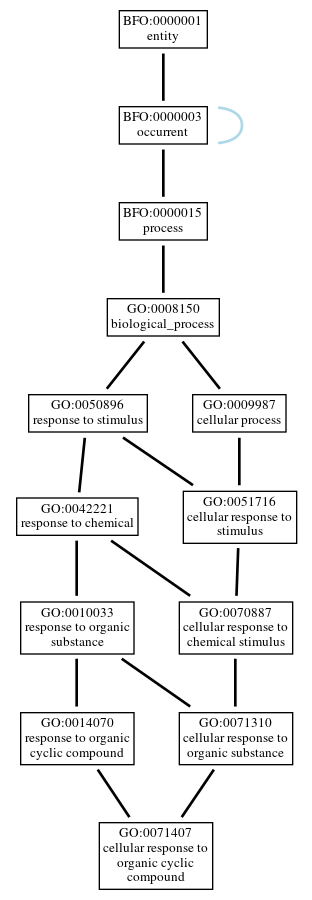 Graph of GO:0071407