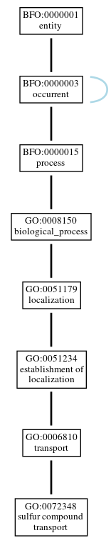 Graph of GO:0072348