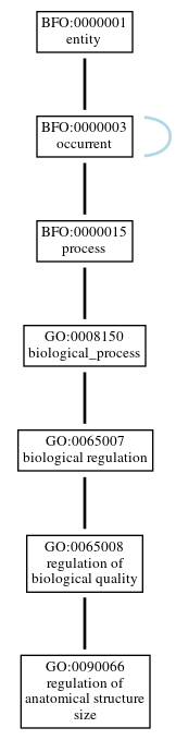 Graph of GO:0090066