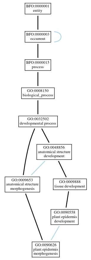 Graph of GO:0090626