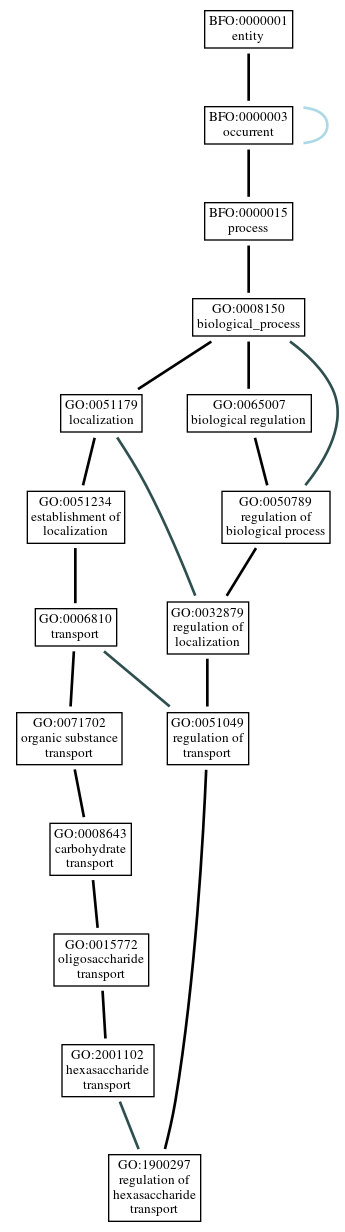 Graph of GO:1900297