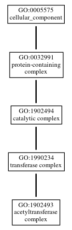 Graph of GO:1902493