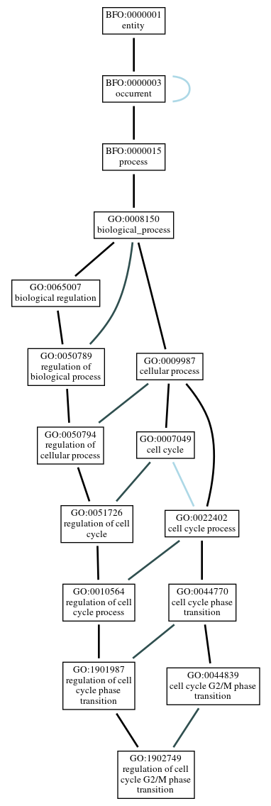 Graph of GO:1902749