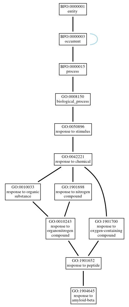 Graph of GO:1904645