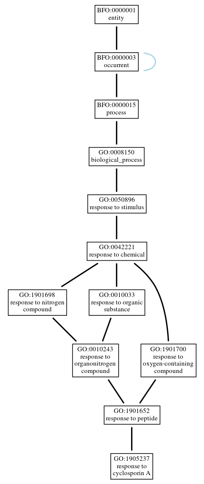 Graph of GO:1905237