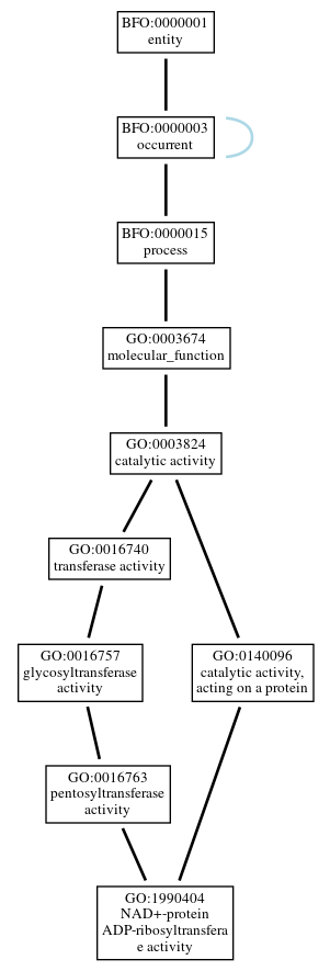 Graph of GO:1990404