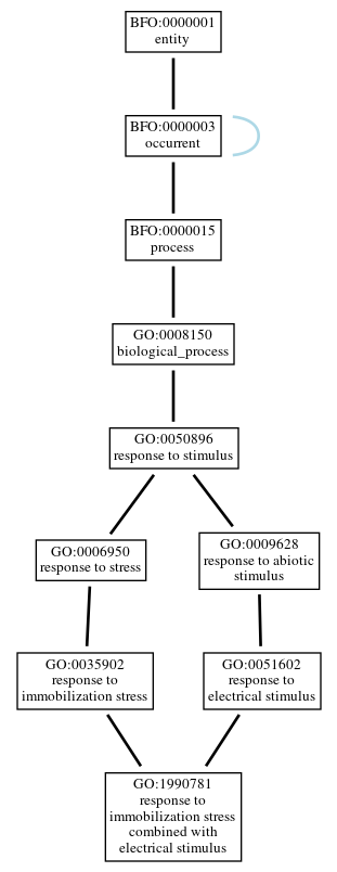 Graph of GO:1990781