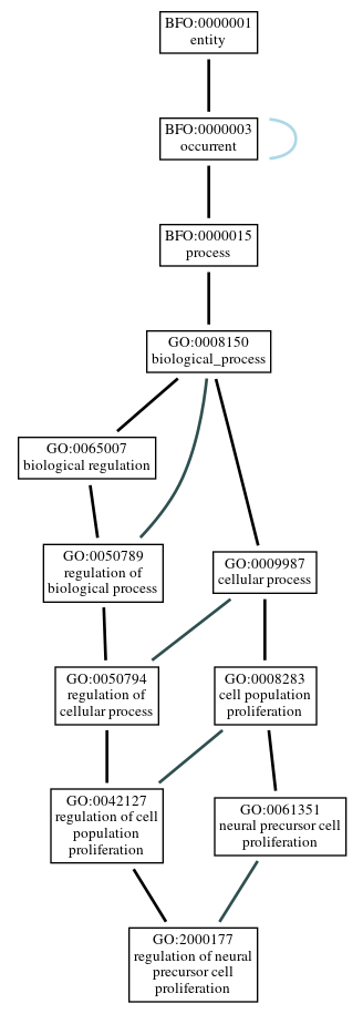 Graph of GO:2000177