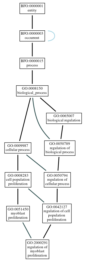 Graph of GO:2000291