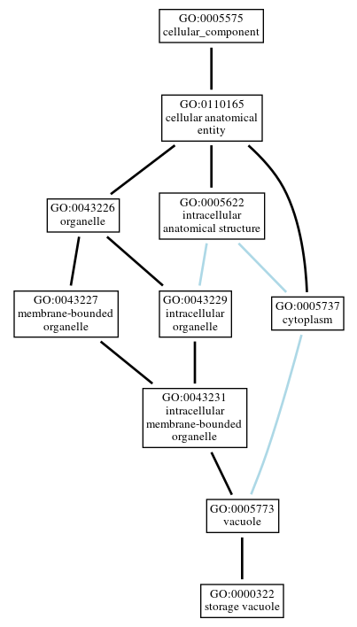 Graph of GO:0000322