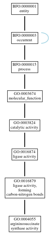 Graph of GO:0004055