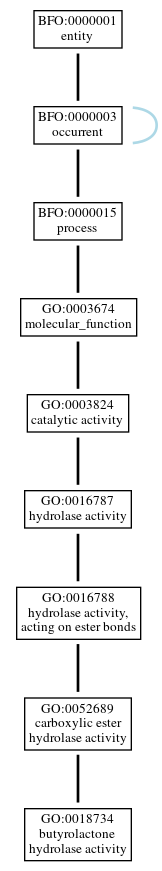 Graph of GO:0018734
