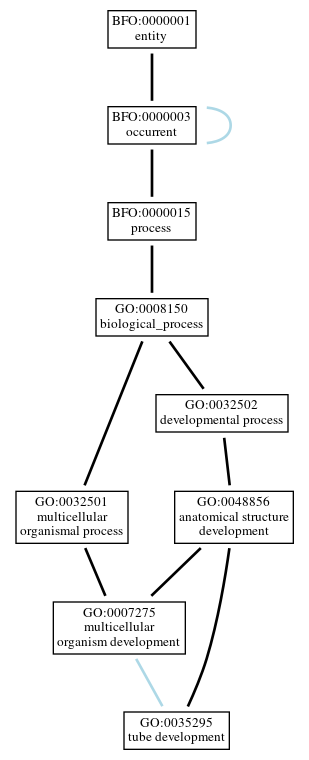 Graph of GO:0035295