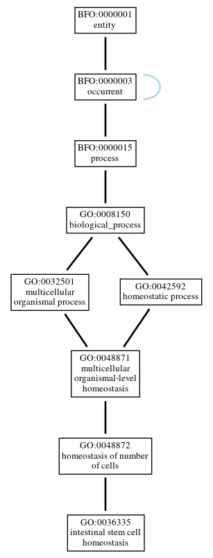 Graph of GO:0036335