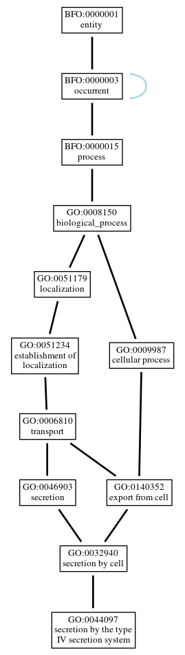 Graph of GO:0044097