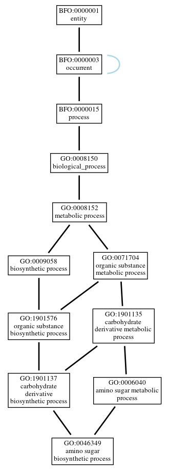 Graph of GO:0046349