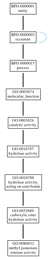 Graph of GO:0080032