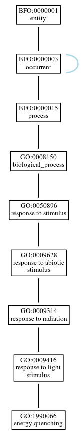 Graph of GO:1990066