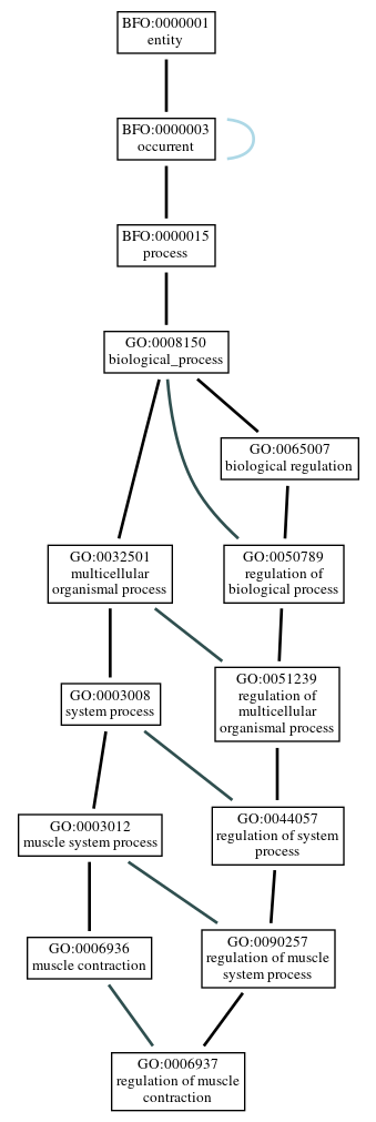 Graph of GO:0006937