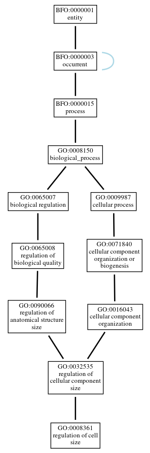 Graph of GO:0008361