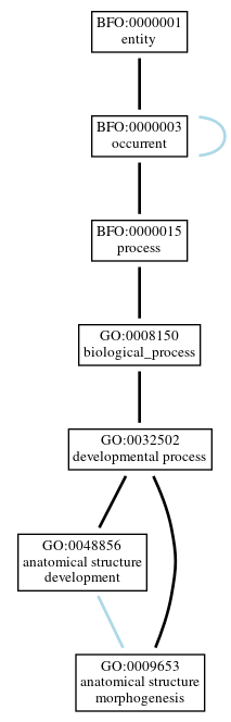 Graph of GO:0009653