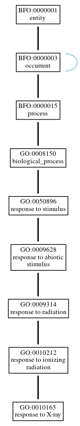 Graph of GO:0010165