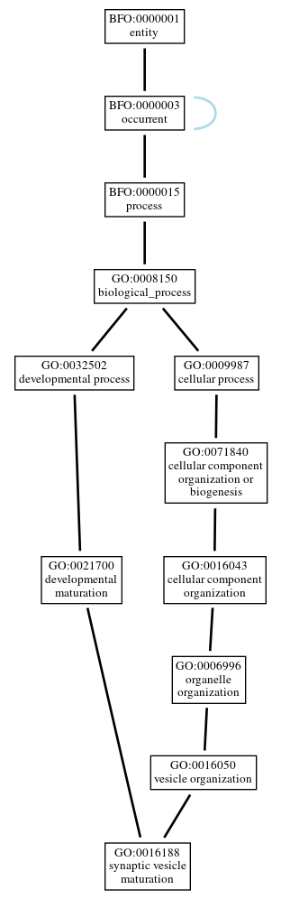 Graph of GO:0016188