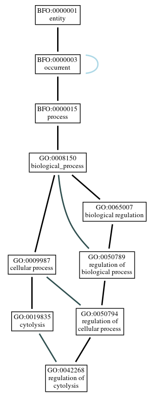 Graph of GO:0042268