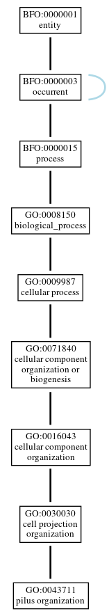 Graph of GO:0043711