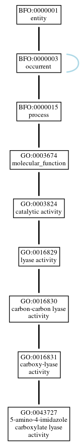 Graph of GO:0043727
