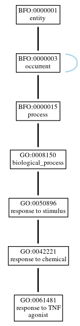 Graph of GO:0061481