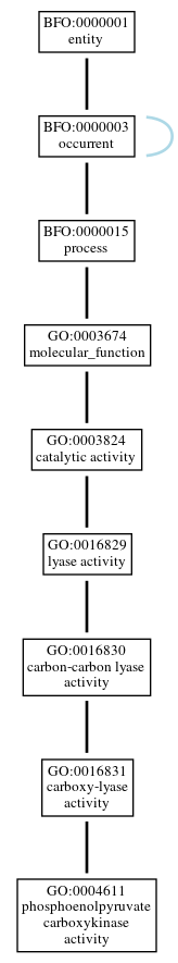 Graph of GO:0004611