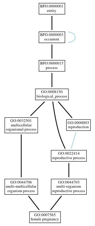 Graph of GO:0007565